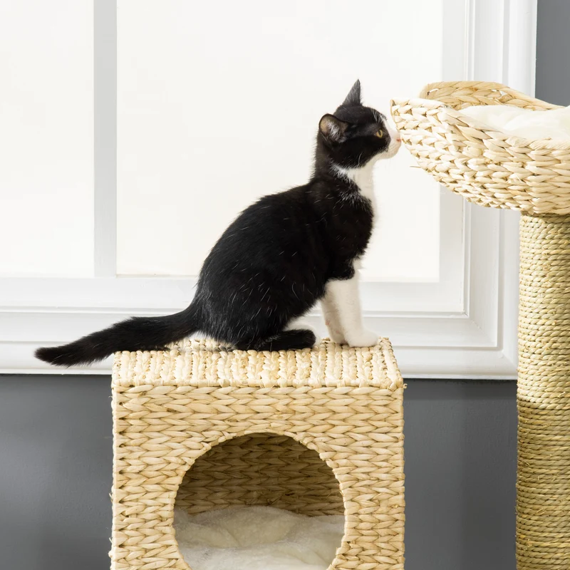 Protochronicler Arbre à chat 100,5 cm naturel avec maisonnette, lit, escalier et poteaux en sisal pour petits chats