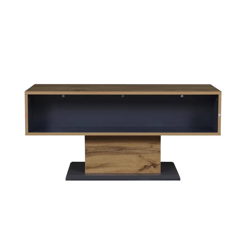 Table basse effet bois chêne gris 1 portes 2 niches 100x50x46,5cm RIFTMYRATHYN