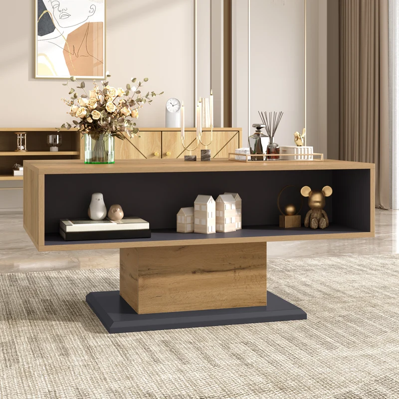 Table basse effet bois chêne gris 1 portes 2 niches 100x50x46,5cm RIFTMYRATHYN