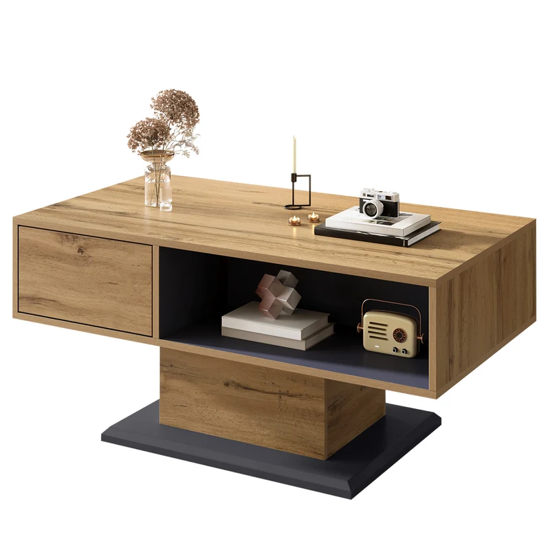 Table basse effet bois chêne gris 1 portes 2 niches 100x50x46,5cm RIFTMYRATHYN