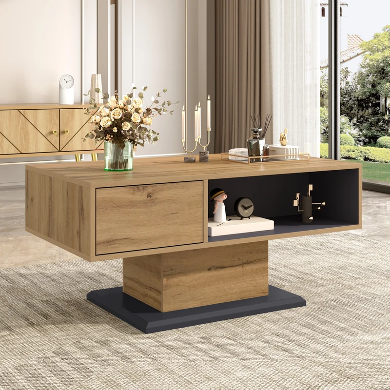 Table basse effet bois chêne gris 1 portes 2 niches 100x50x46,5cm RIFTMYRATHYN