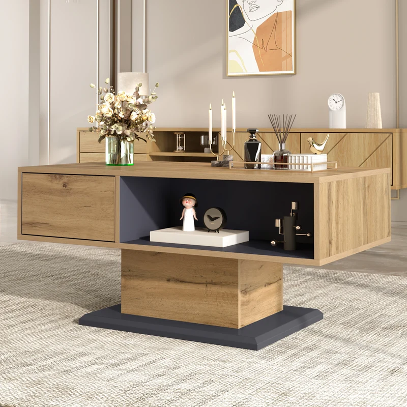 Table basse effet bois chêne gris 1 portes 2 niches 100x50x46,5cm RIFTMYRATHYN