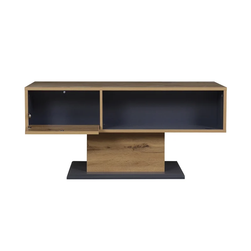 Table basse effet bois chêne gris 1 portes 2 niches 100x50x46,5cm RIFTMYRATHYN
