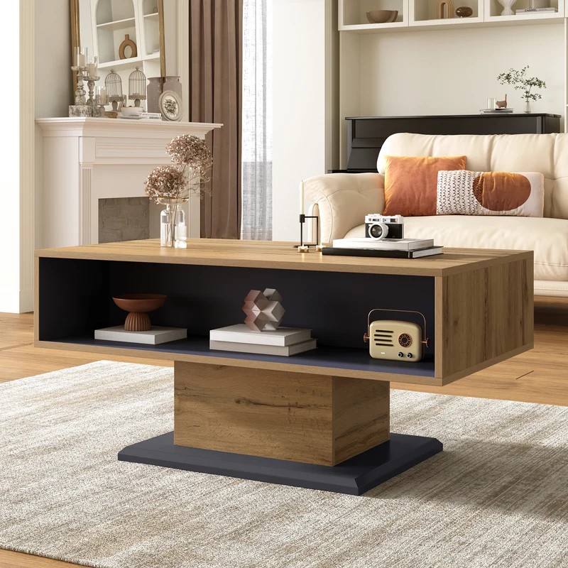 Table basse effet bois chêne gris 1 portes 2 niches 100x50x46,5cm RIFTMYRATHYN
