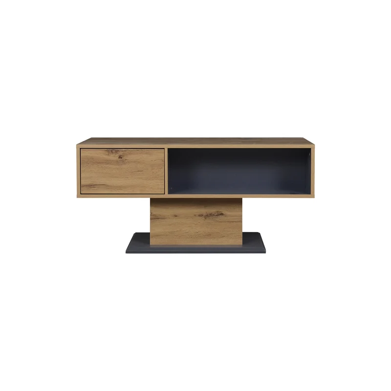 Table basse effet bois chêne gris 1 portes 2 niches 100x50x46,5cm RIFTMYRATHYN
