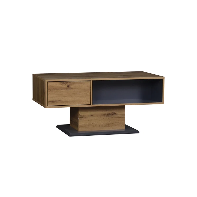 Table basse effet bois chêne gris 1 portes 2 niches 100x50x46,5cm RIFTMYRATHYN