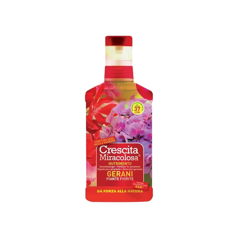 Croissance miraculeuse des géraniums avec le produit 375 ml