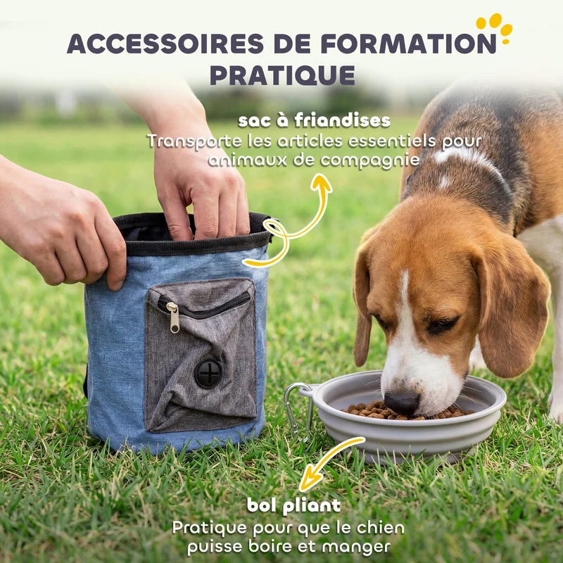Ensemble d'agilité pour chien parcours 350 x 68 x 70 cm sauts réglables tunnel stabilisé moderne en tissu oxford orange 21_0007531