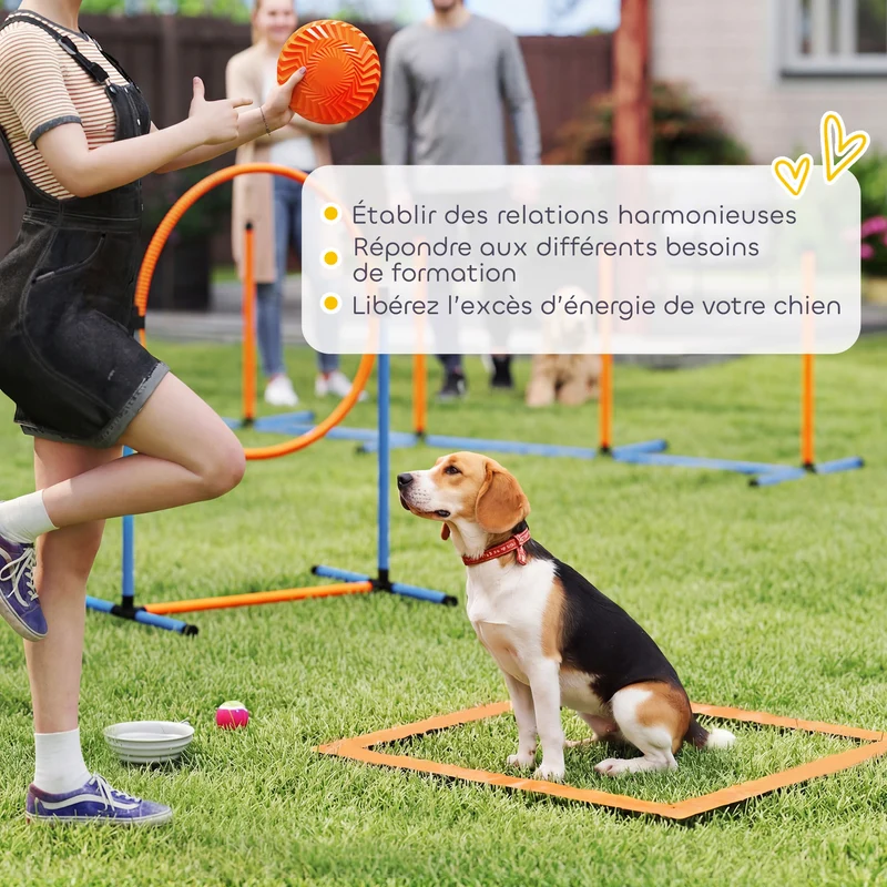Ensemble d'agilité pour chien parcours 350 x 68 x 70 cm sauts réglables tunnel stabilisé moderne en tissu oxford orange 21_0007531