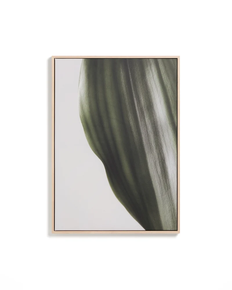 Foliae leaf photograph picture 52 x 72cm