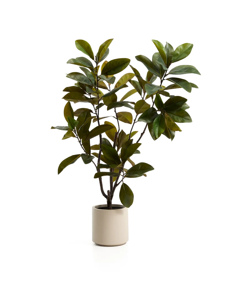 Artificial Magnolia tree with white pot 160cm