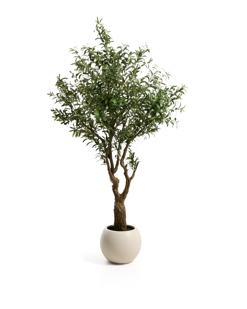 Artificial Olive tree with white pot 210cm