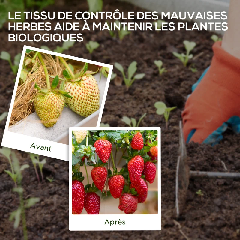 Toile de paillage jardin 100 x 2 m empêche mauvaises herbes perméable robuste style épuré extérieur et serres en PP noir 21_0004327