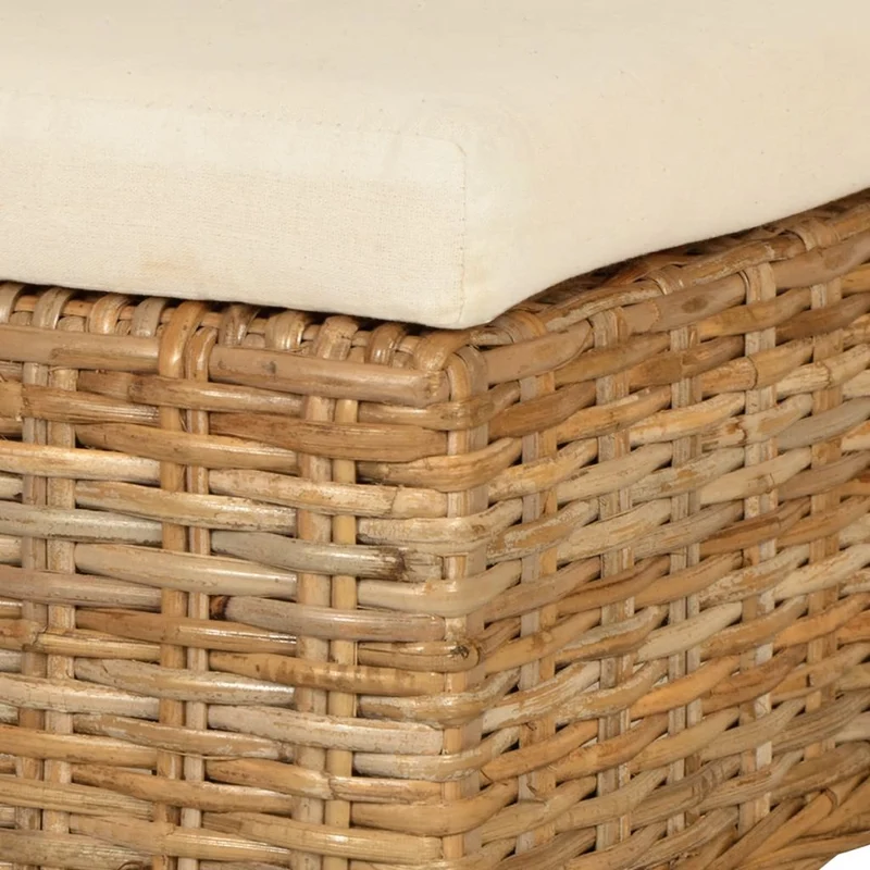 Lot de 2 chaises de salle à manger cuisine design classique rotin Kubu bois de manguier blanc CDS020969