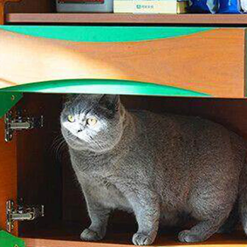 Contemporary Retro Wooden Cat Cabinet - Multifunctional Pet Furniture With Storage Drawer & Cat House For Living Room