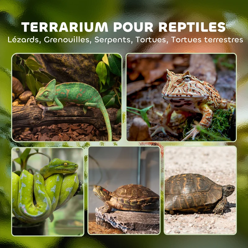 Terrarium pour reptiles panoramique 50 x 30 x 35 cm fermeture sécurisée ventilation design moderne en verre trempé noir 21_0007851