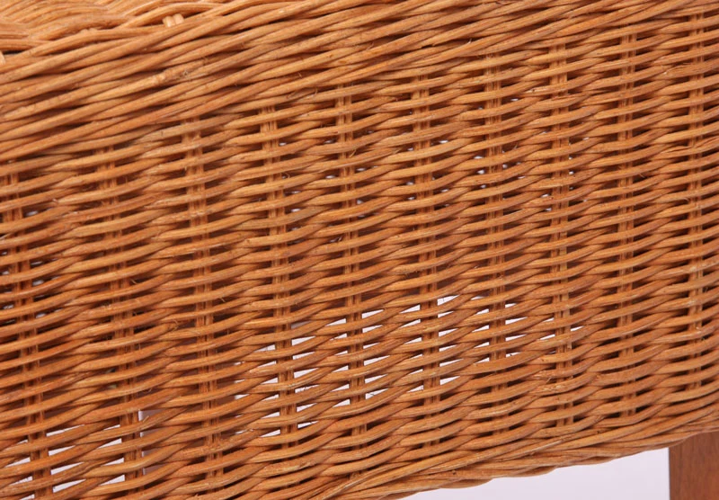 Lot de 2 chaises de salle à manger en rotin avec coussin pieds en bois 04_0000193