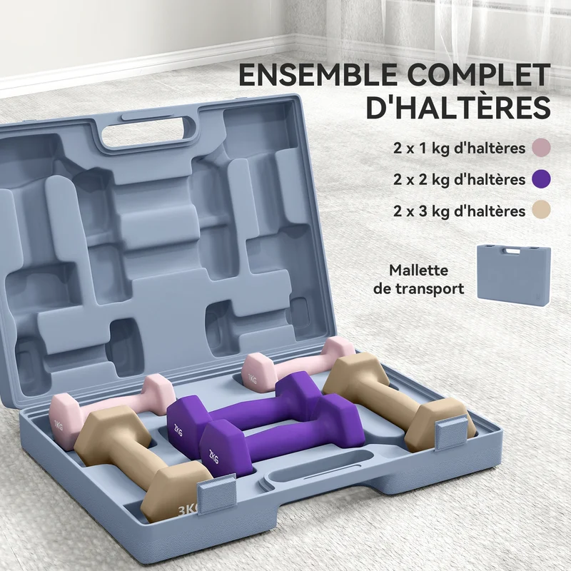 Lot de 6 haltères hexagonaux entraînement domicile 41 x 30 x 8 cm poignées antidérapantes design moderne en acier rose 21_0006869