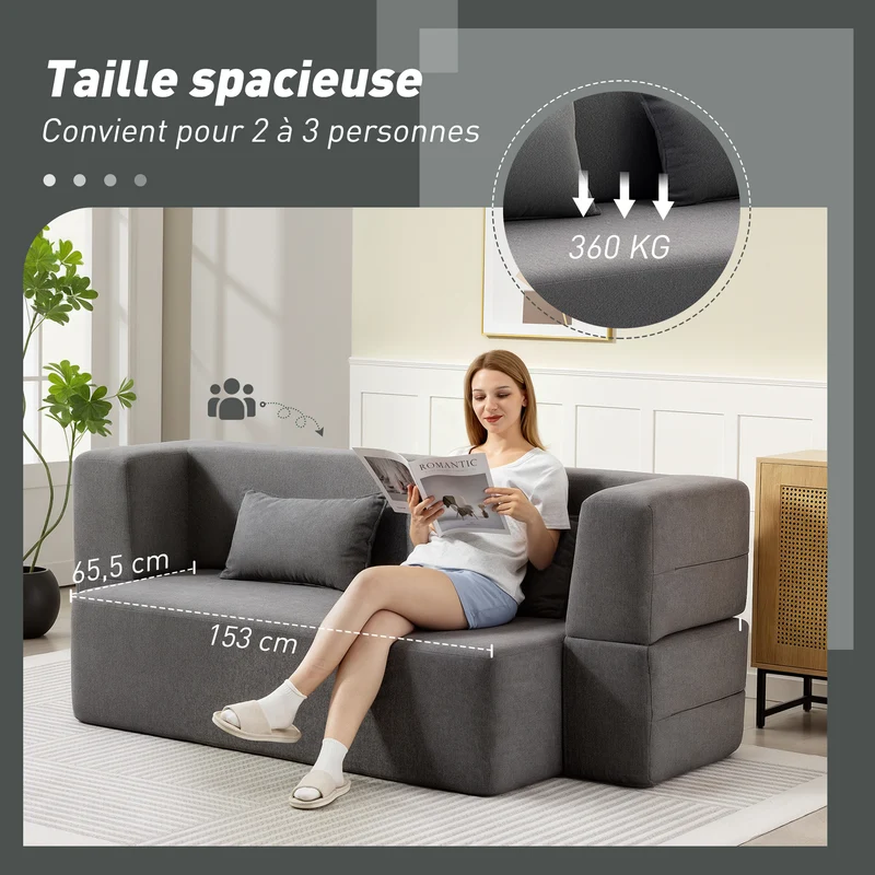 Canapé convertible 2 places canapé-lit 203 x 95 x 75 cm assise large confortable moderne avec 2 coussins en chenille gris 21_0003577
