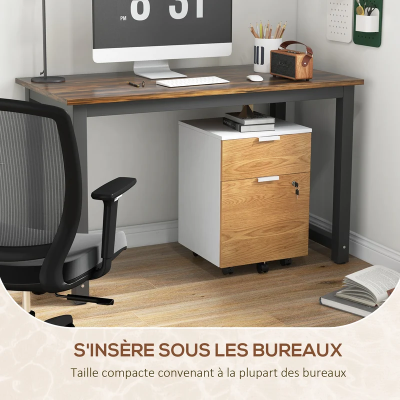 Caisson de bureau 42 x 40 x 60 cm verrouillable 2 tiroirs dossiers suspendus moderne en panneau de particules blanc 21_0006395