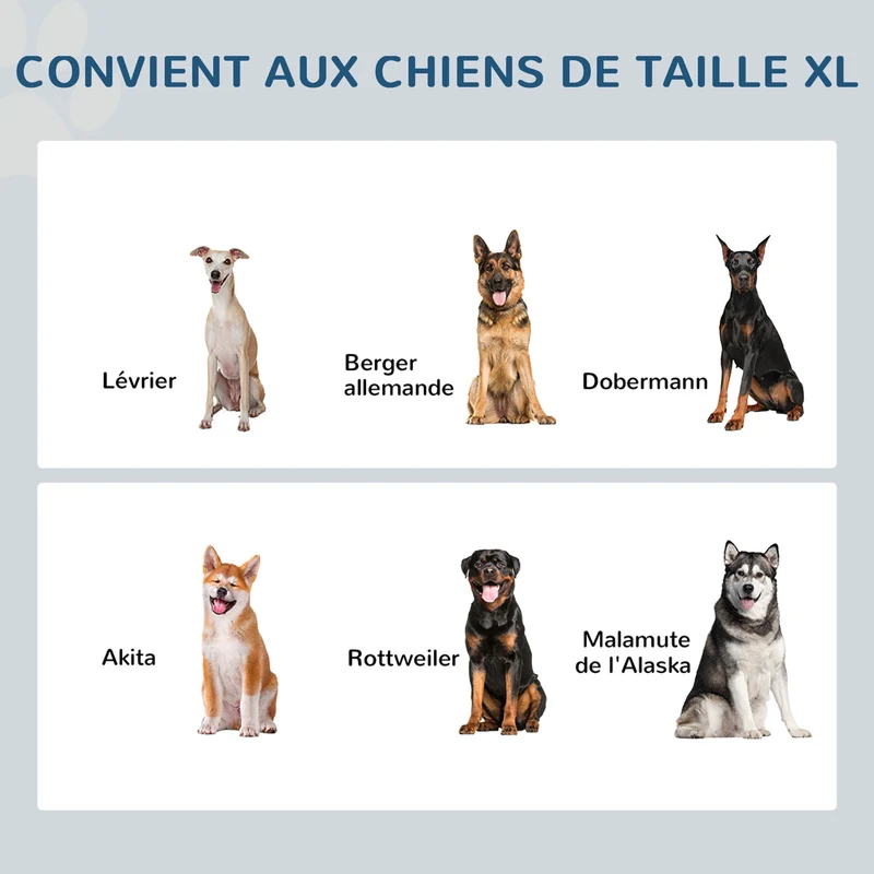 Porte-gamelles surélevé pour chien 60 x 30 x 41 cm améliore posture coffre rangement poignées design moderne en MDF gris 21_0007535