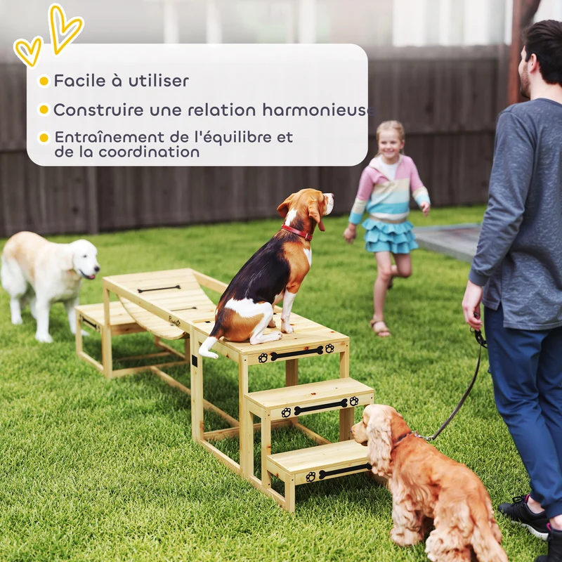 Kit d'agilité pour chien 3 pièces 117 x 50 x 56 cm pour chiens jusqu'à 40 kg entraînement scandinave en bois naturel 21_0007529