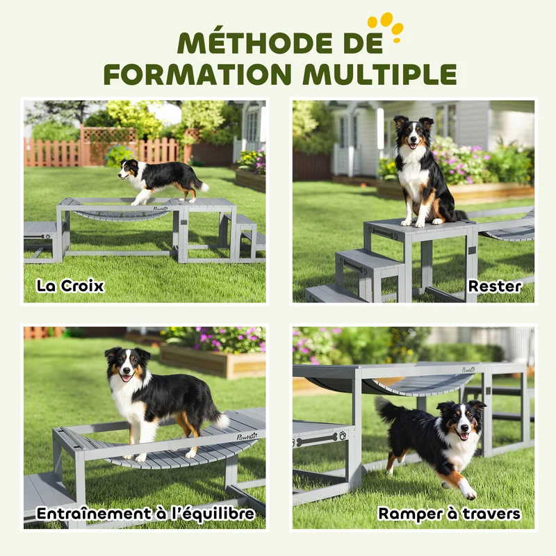 Kit d'agilité pour chien 117 x 50 x 56 cm entraînement ludique pour chiens jusqu'à 40 kg scandinave épuré en bois gris 21_0007528