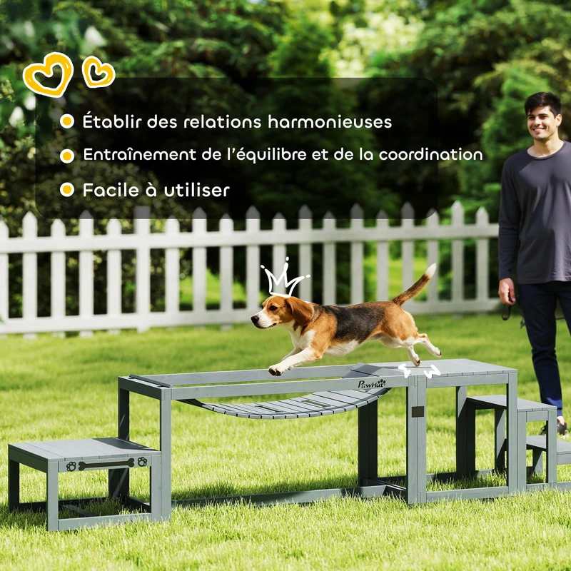 Kit d'agilité pour chien 117 x 50 x 56 cm entraînement ludique pour chiens jusqu'à 40 kg scandinave épuré en bois gris 21_0007528