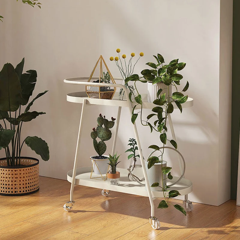 Contemporary Industrial Iron Elliptical Indoor Movable Flower Storage Shelf 2-Tier For Living Room & Balcony