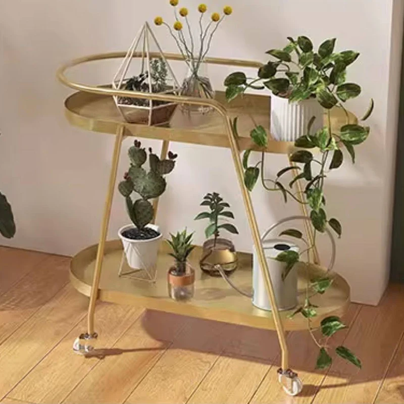 Contemporary Industrial Iron Elliptical Indoor Movable Flower Storage Shelf 2-Tier For Living Room & Balcony
