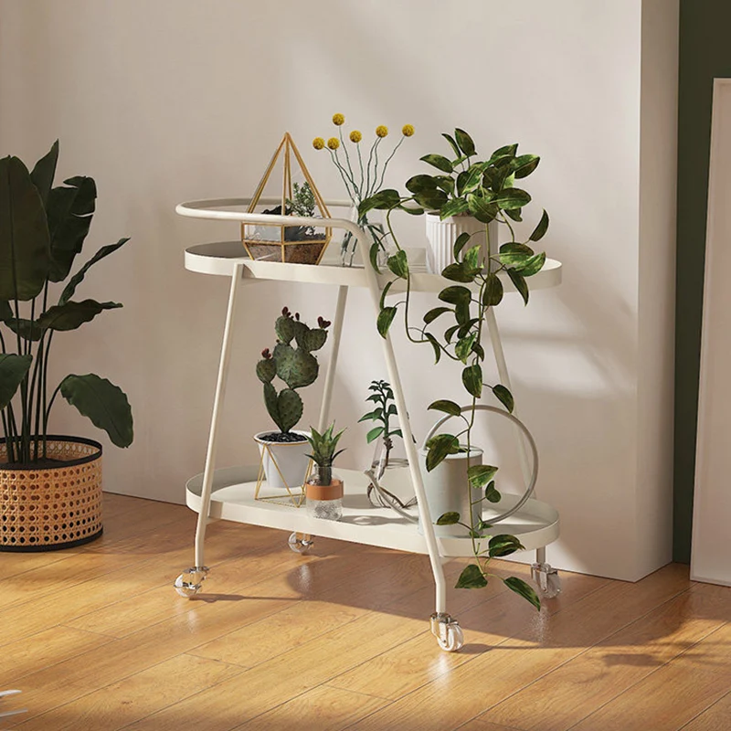 Contemporary Industrial Iron Elliptical Indoor Movable Flower Storage Shelf 2-Tier For Living Room & Balcony