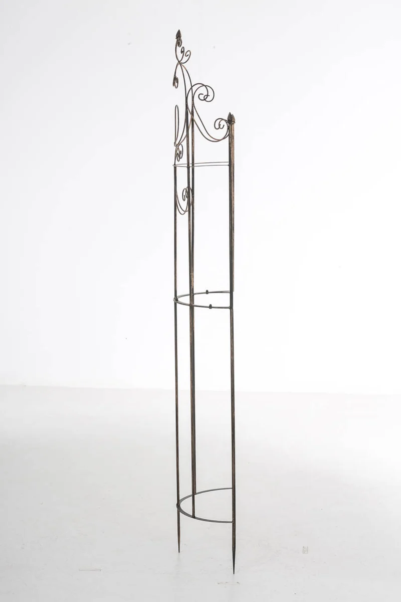 Treillis de jardin pour plantes grimpantes tuteur pour rosiers en métal bronze 10_0003886