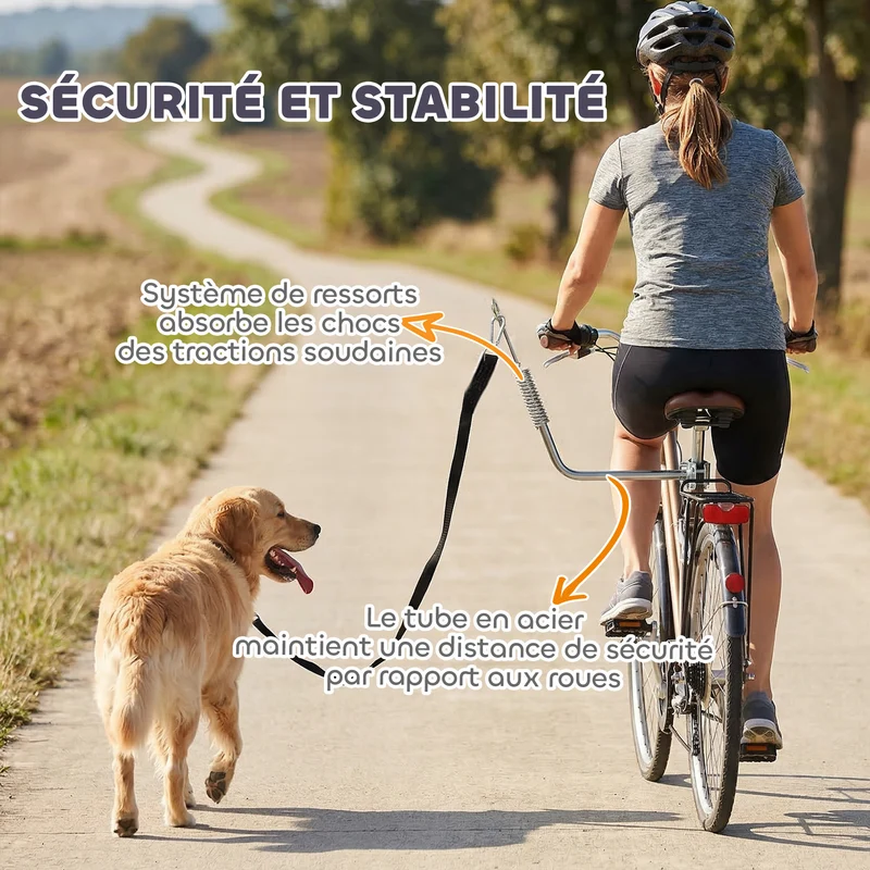 Laisse vélo mains libres pour chien 180 x 1,8 x 1,8 cm amortisseur fixation rapide moderne en acier inoxydable argent 21_0007263