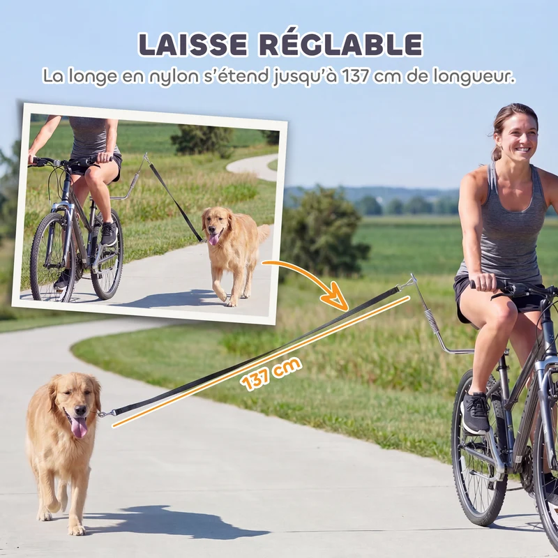 Laisse vélo mains libres pour chien 180 x 1,8 x 1,8 cm amortisseur fixation rapide moderne en acier inoxydable argent 21_0007263