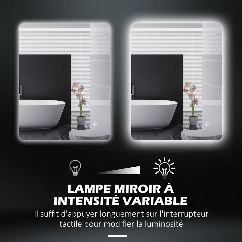 Miroir rectangulaire lumineux salle de bain 80 x 60 x 3 cm éclairage réglable antibuée moderne en verre transparent 21_0001973