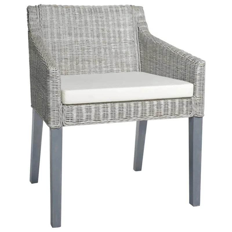 Lot de 2 chaises de salle à manger avec coussins crème cadre en rotin naturel gris DEC025467