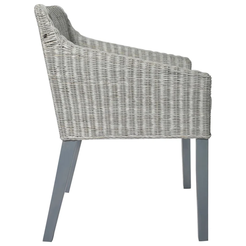 Lot de 2 chaises de salle à manger avec coussins crème cadre en rotin naturel gris DEC025467