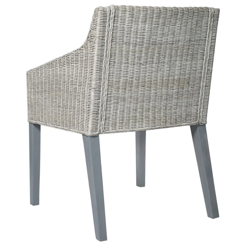 Lot de 2 chaises de salle à manger avec coussins crème cadre en rotin naturel gris DEC025467