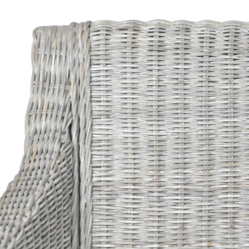 Lot de 2 chaises de salle à manger avec coussins crème cadre en rotin naturel gris DEC025467