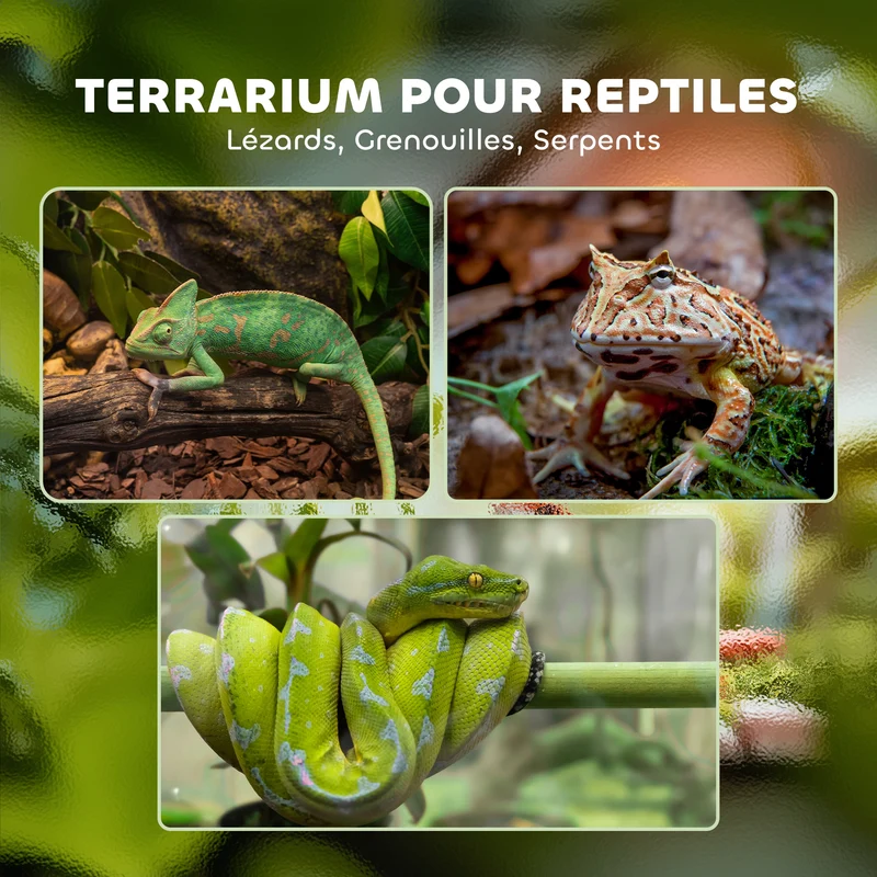 Terrarium pour reptiles volume 12 l 20 x 20 x 30 cm aération sécurisée avec verrou moderne épuré en verre trempé noir 21_0007845