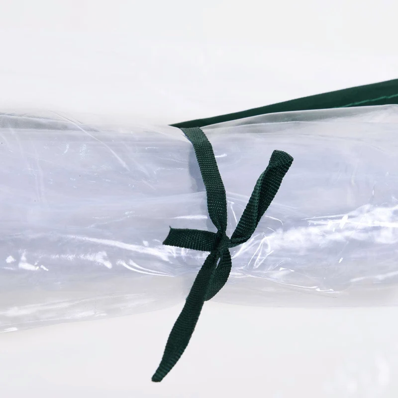 Serre tunnel pour tomates 250 x 100 x 80 cm protection antigel porte zippée moderne épuré utile en PVC transparent 21_0004138