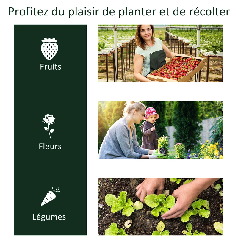 Serre tunnel de jardin 200 x 100 x 80 cm protège contre le gel optimise le rendement contemporain épuré en PVC vert 21_0004141