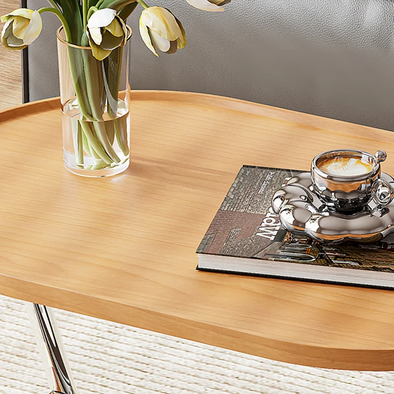 Contemporary Nordic Oval Eco-Friendly Vacuum-Formed Board Stainless Steel Cat Scratching Leather Movable End Table 1-Basket For Living Room