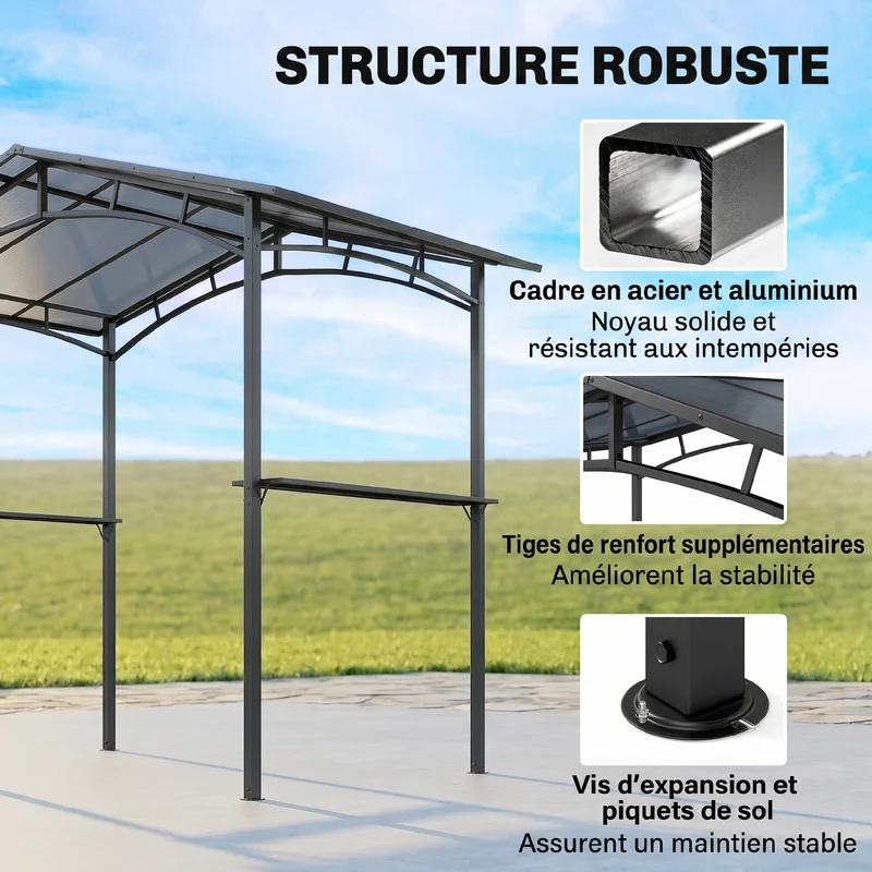 Pavillon de jardin abri barbecue 246 x 149 x 230 cm protection intempéries 2 étagères pratiques design en aluminium noir 21_0004778