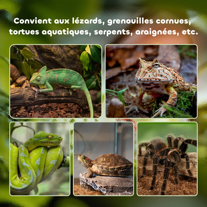 Terrarium reptile 50 x 30 x 25 cm thermomètre inclus ventilé empilable pour lézards design moderne en verre trempé noir 21_0007828