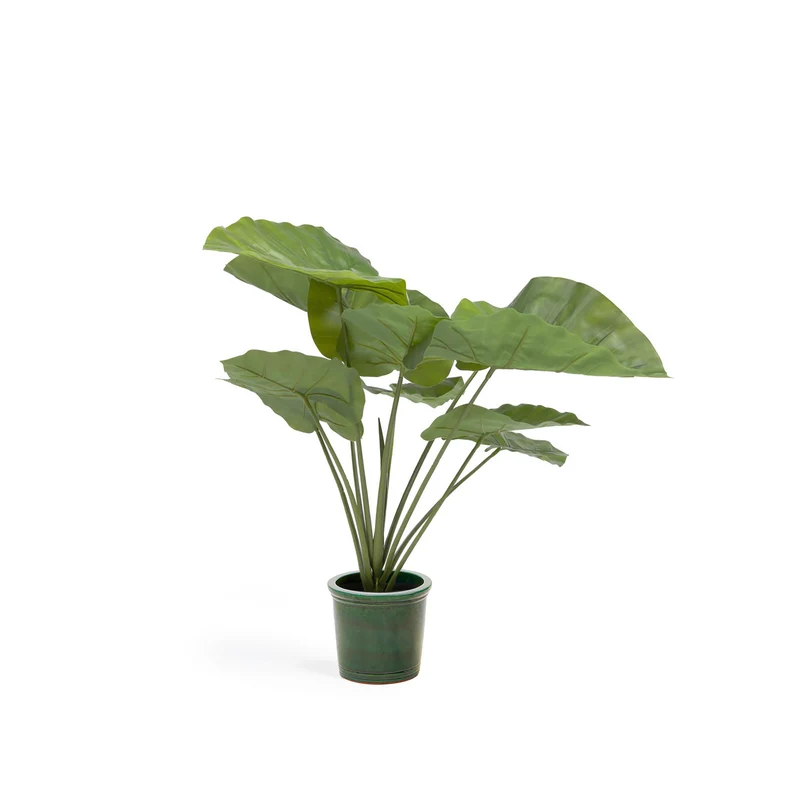 Artificial Alocasia Odora with black plantpot 57 cm