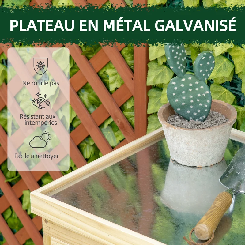 Armoire de jardin 80 x 45 x 92 cm double porte rangement outils pieds surélevés rustique en bois massif bois naturel 21_0004681