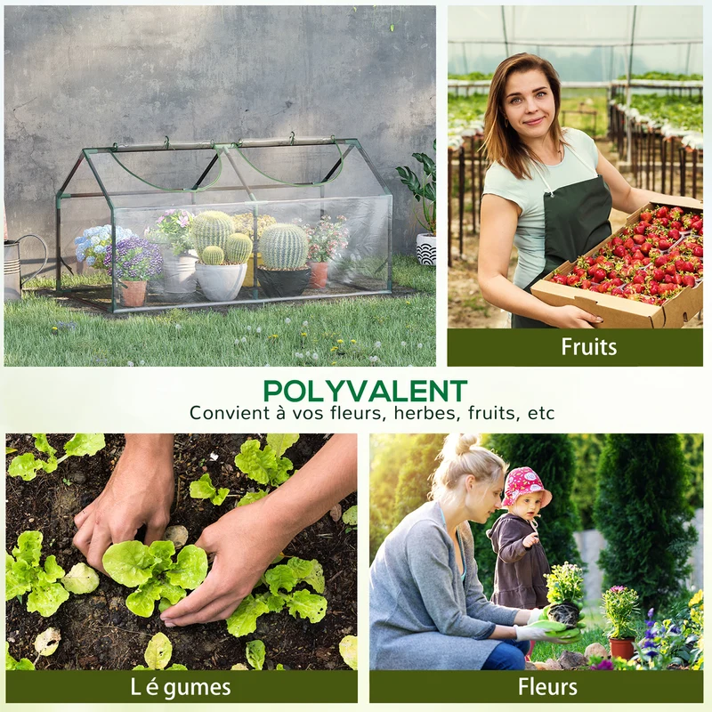 Serre de jardin mini 120 x 60 x 60 cm protection contre le vent et la pluie stabilité solide moderne en PVC transparent 21_0004155