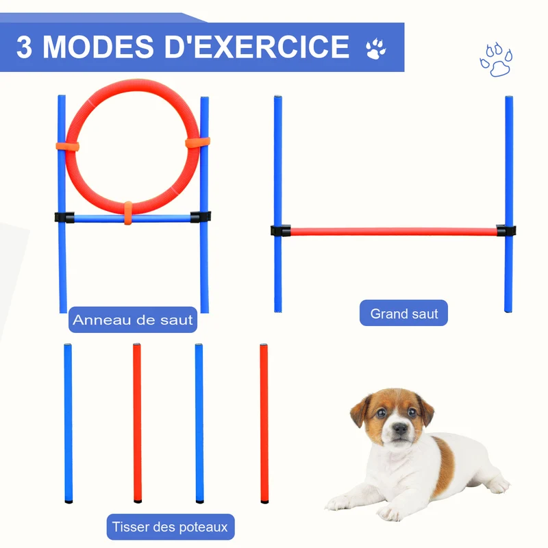 Kit d'agilité pour chiens parcours d'entraînement 95 x 15 x 50 cm montage rapide transportable tendance en acier bleu 21_0007510