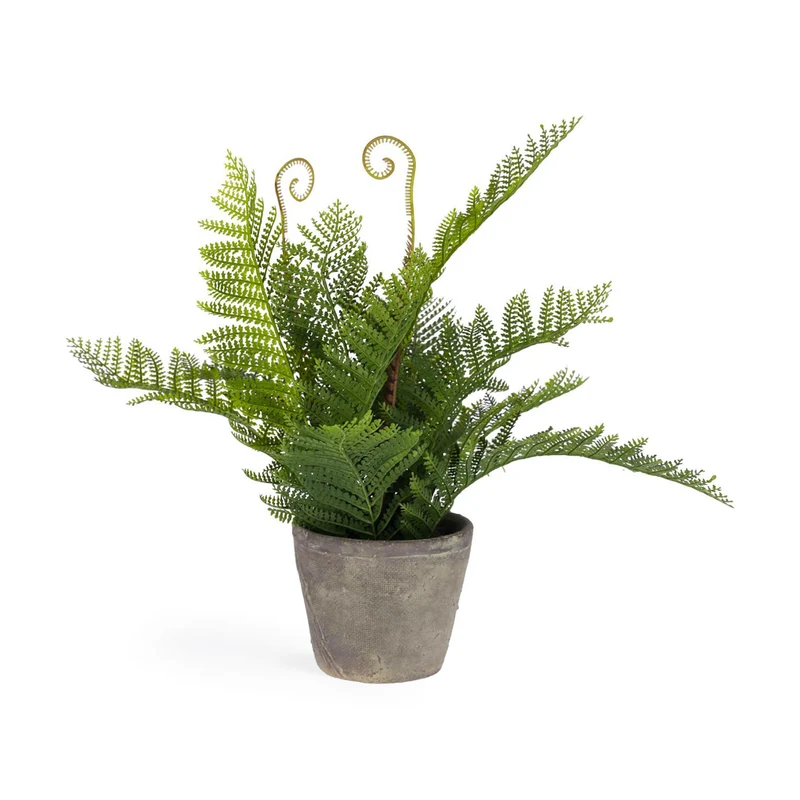 Filicopsida artificial plant